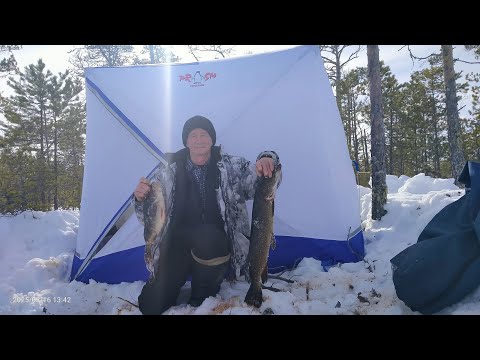 I've made it into the taiga. I'm living in a tent. I've got some prey. Part one.