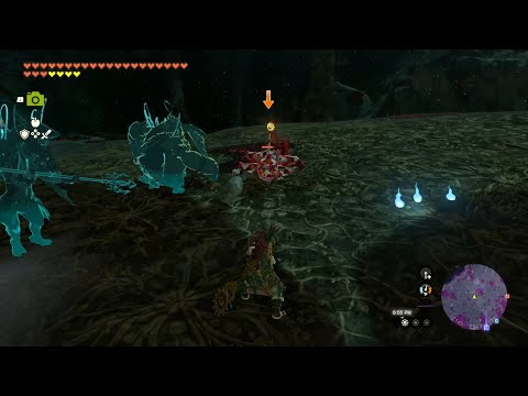 Sidon and Yunobo get their hits in before Link takes over   #throwback 