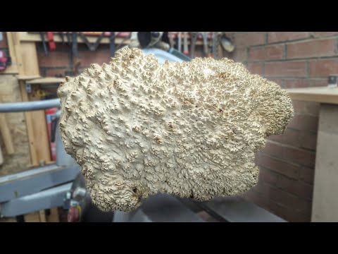 A VERY Thorny Challenge! : Woodturning the spikey but beautiful Mallee Burl