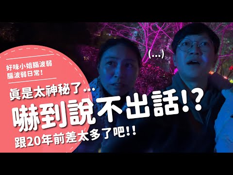 嚇到說不出話！？跟20年前差太多了吧！！真是太神秘了...【腦波弱日常】EP108