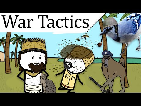 Wacky War Tactics in another Nutshell