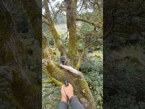 We have ALL been in this situation! #treework