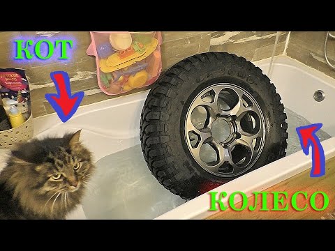 If the tire is leaking along the rim: we fix it without a tire shop or special tools