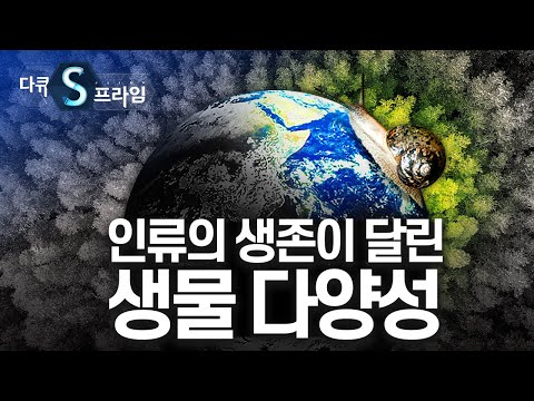 멸종위기 속 생물다양성을 말하다 [#다큐S프라임] / YTN 사이언스