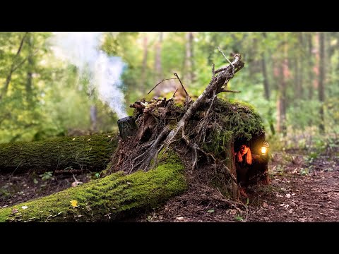 Building a Warm and Cozy Shelter for Survival Under OAK Roots | Cozy Log Cabin, Bushcraft, Survival