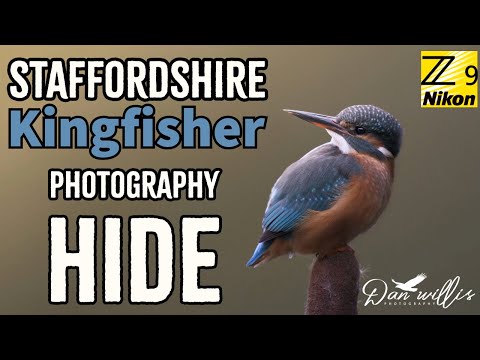 Staffordshire Kingfisher Photography Hide