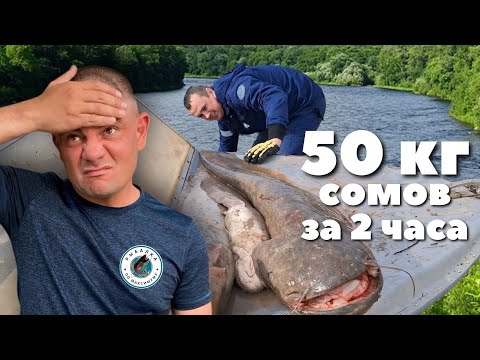 Он выловил ВСЕХ СОМОВ! СОМ на КИРПИЧ! Или как поймать СОМА?