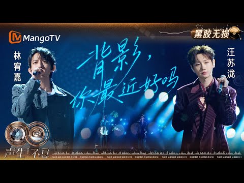 [Lossless Vinyl Recording] #YogaLin #WangSulong "Back View, How Have You Been Lately?" From Regre...