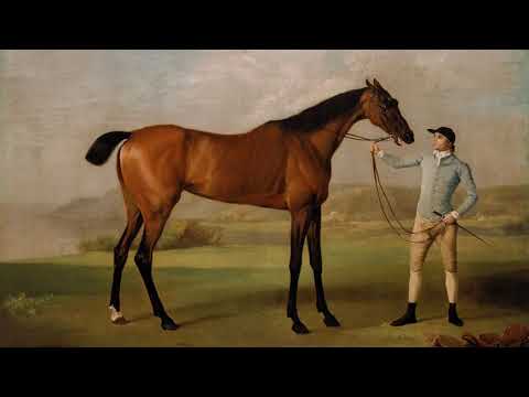 Vintage Art for your TV   Brown Horse with Rider