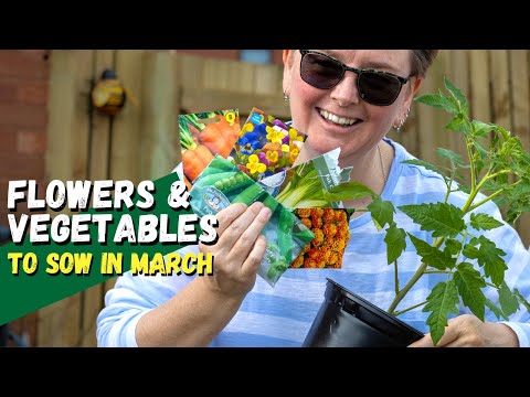 Seeds I'm Sowing In March