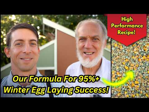 Make Your Chickens Healthier & Happier with This Feed Recipe (Stop Making These Common Mistakes!)