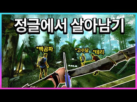 신혼부부와 열대우림에서 살아남기