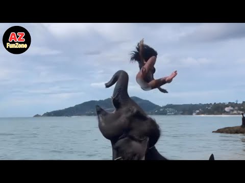 Funniest Fails & Viral Memes Of The Year 😂🤣 Try Not To Laugh Challenge #2
