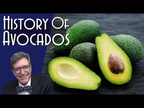 Avocados: A History