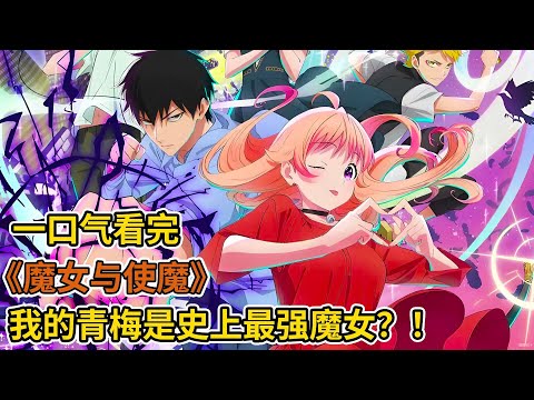 開局和史上最強魔女青梅同居？！鬼族少年被美少女簽訂契約，成為護主忠犬？！青梅竹馬愛情喜劇故事？！一口氣看完《魔女與使魔》總合集！