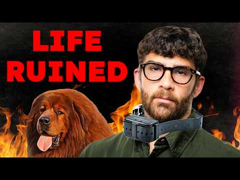 How to Mistreat Your Dog & Fail to Get Away With It - The Full Hasanabi Collargate Scandal