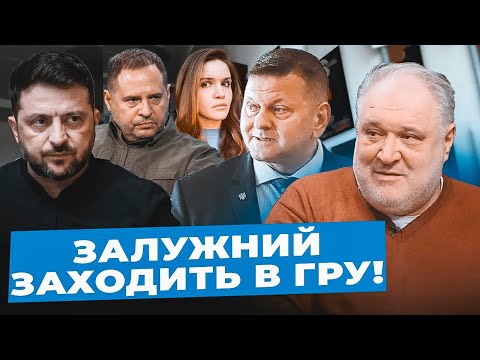 Цибулько: Зеленського ЗАКОПУЄ страх фіаско| За шашлики СПИТАЮТЬ на виборах| Залужний СТАЄ першим