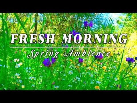 Relaxing Nature Ambience Meditation ๐พG E N T L E - B R E E Z E in a Meadow ๐พHealing Sounds of SPRING