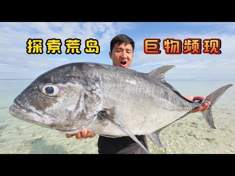 《马达加斯加》第6集:探索偏僻荒岛,海里频现大GT,大石斑,大魟鱼,拉鱼都拉到手软 #抓龙虾 #无人岛 #荒岛探索 #户外 #潜水 #海钓 #打波爬 #ocean