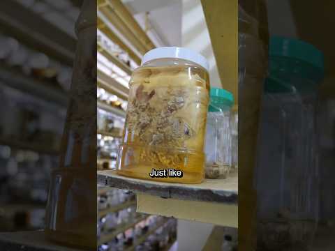 Two must dos in Nha Trang Vietnam? Maybe …maybe not.. #vietnam #food #vietnamese #nhatrang