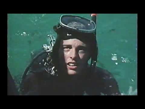 National Geographic: Treasure! (1976)