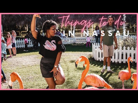 🇧🇸 Top 10 Things To Do In Nassau | Visit Nassau | Visit The Bahamas | This Bahamian Gyal