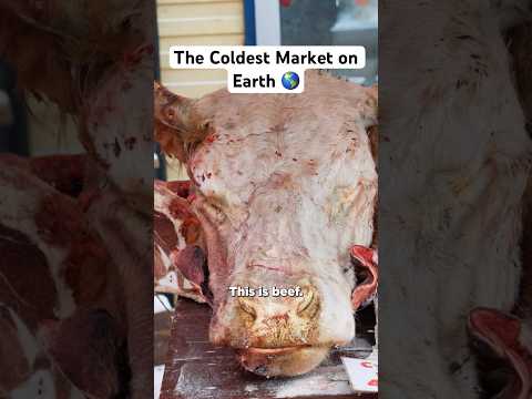 The Coldest Market on Earth: (Yakutsk)