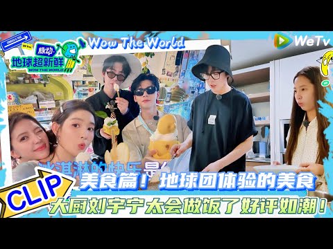 【地球超新鲜】CLIP：大厨刘宇宁太会做饭了好评如潮~美食篇！地球团体验的美食！ |Wow The World#地球超新鲜#孙红雷#李乃文 #刘宇宁#陈星旭#王玉雯 #龚俊  #林一