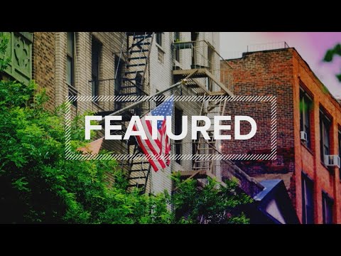 FEATURED - Transplant Success, Mardi Gras Book Lady, Movie Star Rescue Animals