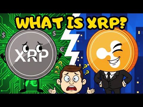 XRP Explained for Beginners: The Ultimate Guide to Ripple & The Lawsuit