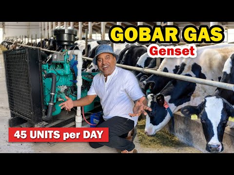 🔥மாட்டு சாணத்தில் இயங்கும் GENERATOR || :👉Gobar Gas Genset || Sakalakala Tv || Arunai Sundar ||