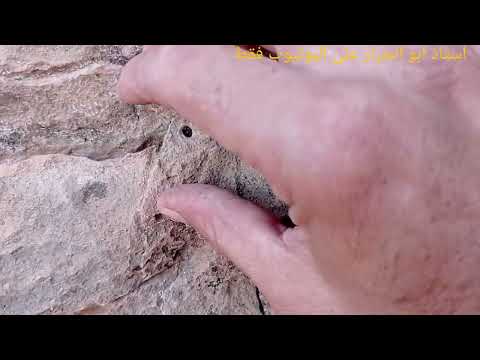 اشارة الران مجسم مغارة مع الوصف والتحليل منطقي مع  الاستاذ ابو الجرار