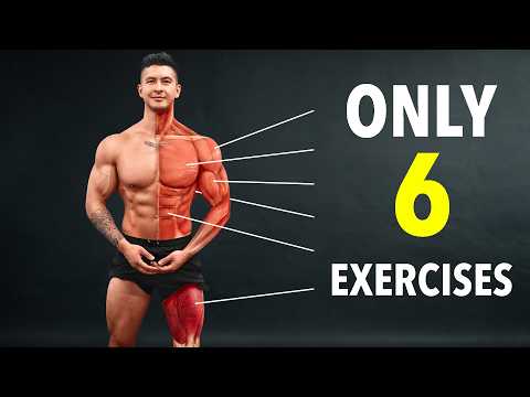 The #1 Full Body Routine to Build Muscle and Lose Fat