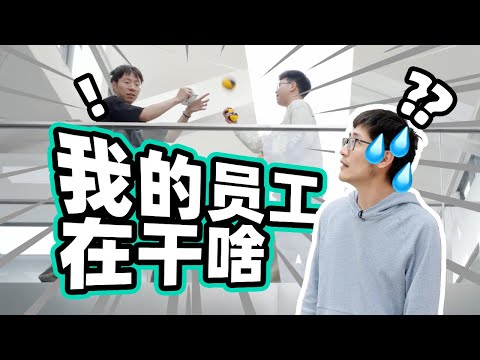 影视飓风的100个员工，上班都在干些啥？飞书办公体验分享