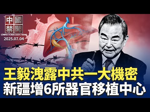 王毅洩密：中共不能承受俄羅斯在烏克蘭失利；美推動所有州立法，反制跨國鎮壓；新疆再增6所器官移植中心，引國際關注；長春七旬老太在獄中被迫害致死；中共特警演練鎮壓農民工，放狗咬人【中國禁聞】｜#新唐人