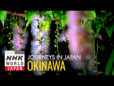 Okinawa: A World in Bloom - Journeys in Japan