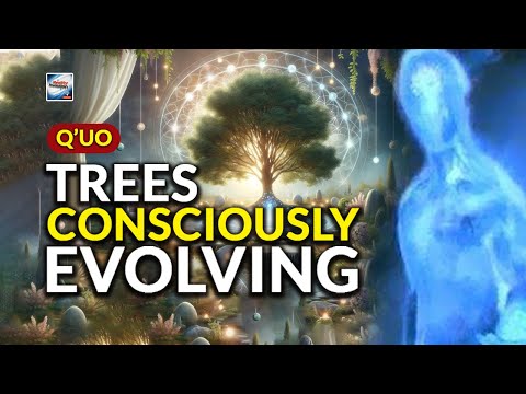Q'uo - Trees Consciously Evolving