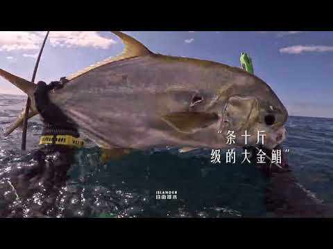 海南岛岸潜渔猎收获大金鲳做晚餐,打鱼喂狗Spearfishing Hainan Island🇨🇳