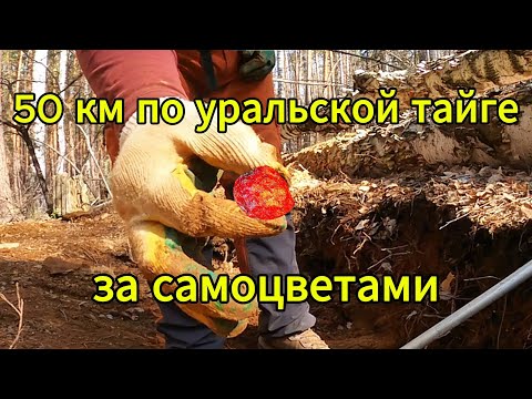 Journey for minerals of the Middle Urals (Kadnikovo, Olkhovka, Hematite Hill, Verkhovskaya Mine)