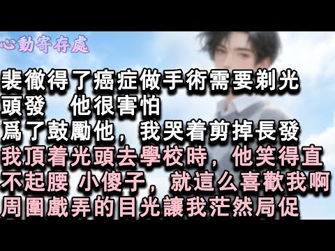 【獨家心動】裴徹得了癌症做手術需要剃光頭髮，他很害怕。為了鼓勵他，我哭著剪掉長髮。我頂著光頭去學校時，他笑得直不起腰：小傻子，就這麼喜歡我啊。周圍戲弄的目光讓我茫然局促。#小說 #言情 #戀愛