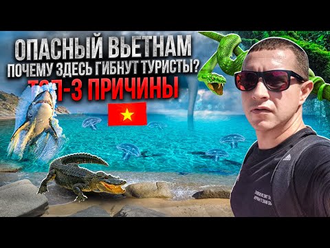 Dangers in Vietnam: Nha Trang Death Epidemic? How to Survive in Vietnam, Life Insurance