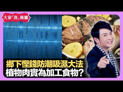 男藝人養一種寵物被抵制 鄉下慳錢防潮吸濕大法 植物肉實為加工食物? - LIVE 大家真瘋Show 梁思浩 韓君婷 李思蓓 20211220 娛樂審死官 4K