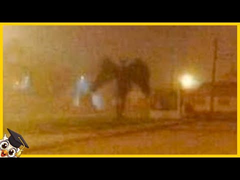 20 Cose Misteriose Che Nessuno Può Spiegare