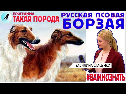 Такая порода - Русская псовая борзая