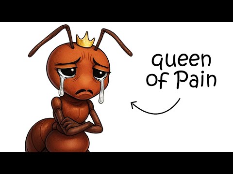 Your Life as a Queen Ant
