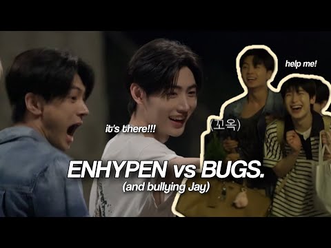 ENHYPEN being afraid of BUGS and bullying JAY for 5 minutes