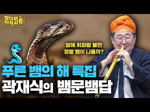 사람이 뱀을 무서워하는 건 본능일까 학습일까? / 곽재식과 뱀 중 누가 더 혀를 잘 놀릴까? 🐍