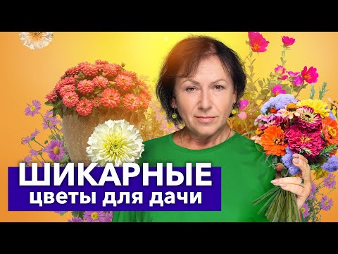 TOP 10 ANNUAL FLOWERS that will win your heart and won't cause you any trouble