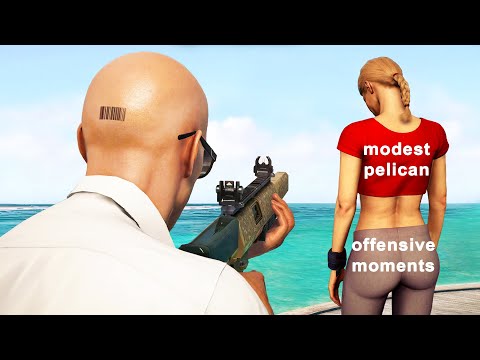 Modest Pelican's Best of 2024