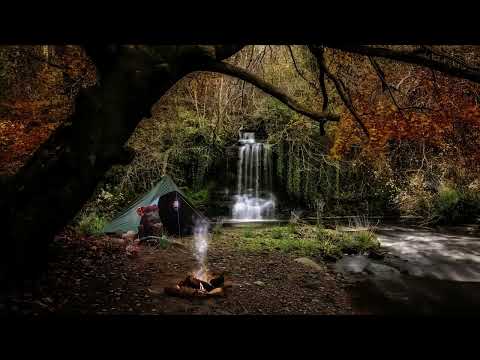 Autumn Forest Camp 🍂 Pink noise, Waterfall, Stream & Crackling Fire Ambience | 12 Hours